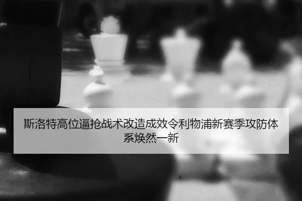 si-luo-te-gao-wei-bi-qiang-zhan-shu-gai-zao-cheng-xiao-ling-li-wu-pu-xin-sai-ji-gong-fang-ti-xi-huan-ran-yi-xin-2-882.jpg